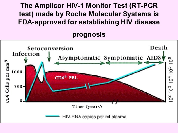 The Amplicor HIV-1 Monitor Test (RT-PCR test) made by Roche Molecular Systems is FDA-approved