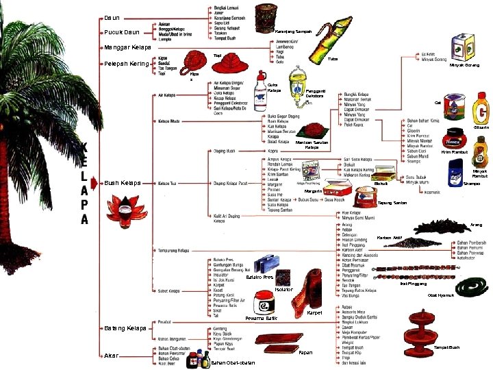 Daun Pucuk Daun Keranjang Sampah Manggar Kelapa Topi Tuba Pelepah Kering Minyak Goreng Kipa