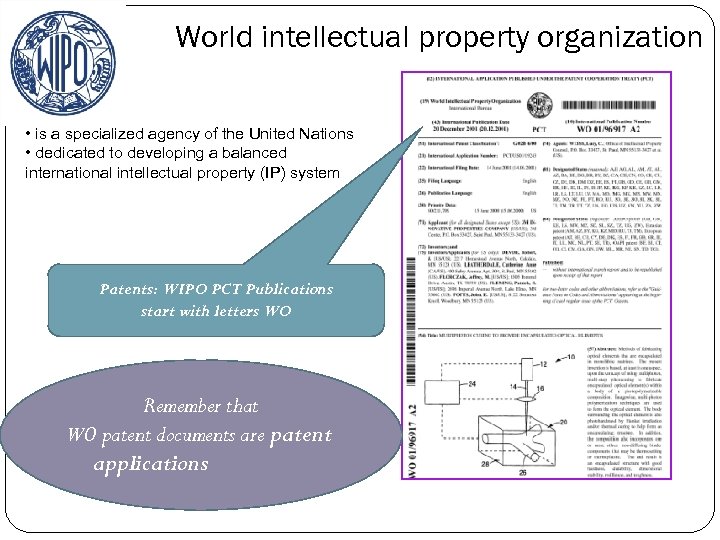 World intellectual property organization • is a specialized agency of the United Nations •