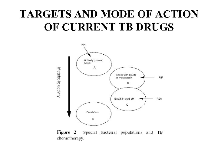 TARGETS AND MODE OF ACTION OF CURRENT TB DRUGS 