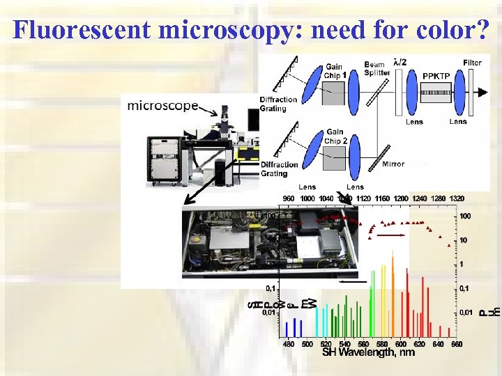 Fluorescent microscopy: need for color? 