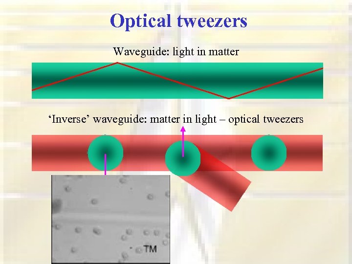 Optical tweezers Waveguide: light in matter ‘Inverse’ waveguide: matter in light – optical tweezers