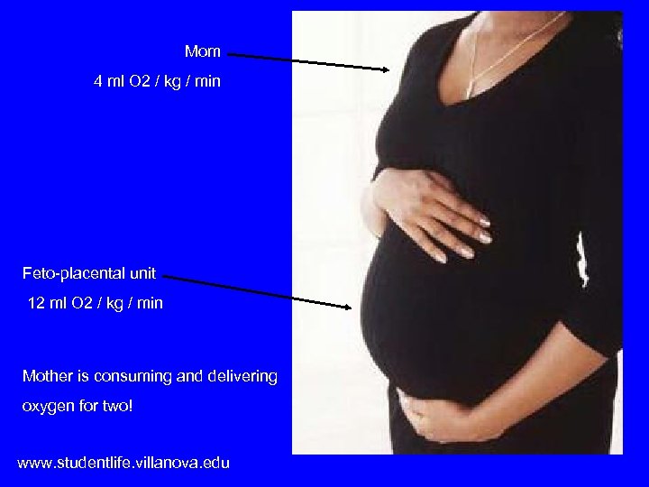 Mom 4 ml O 2 / kg / min Feto-placental unit 12 ml O