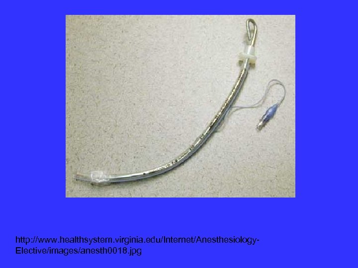 http: //www. healthsystem. virginia. edu/Internet/Anesthesiology. Elective/images/anesth 0018. jpg 