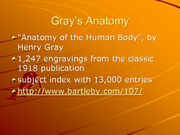 Gray’s Anatomy 