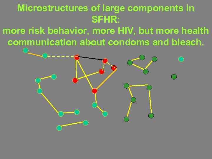 Microstructures of large components in SFHR: more risk behavior, more HIV, but more health