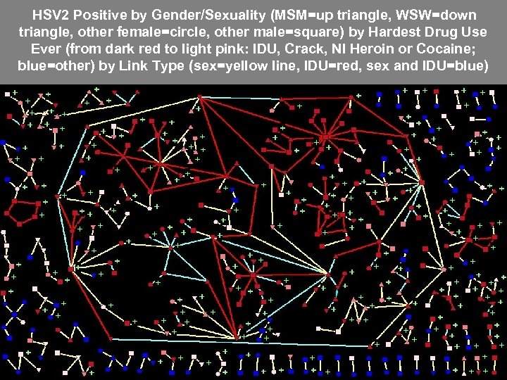 HSV 2 Positive by Gender/Sexuality (MSM=up triangle, WSW=down triangle, other female=circle, other male=square) by