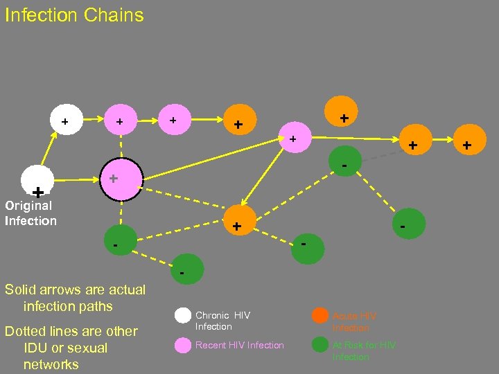 Infection Chains + + + + - + Original Infection + - - -
