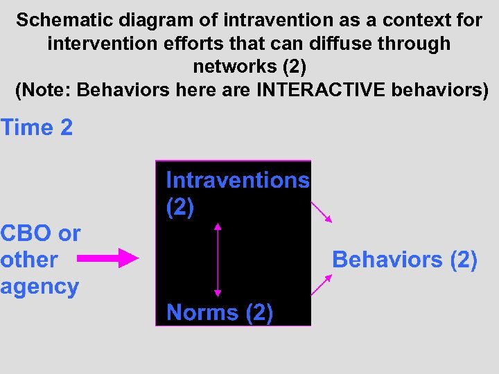 Schematic diagram of intravention as a context for intervention efforts that can diffuse through