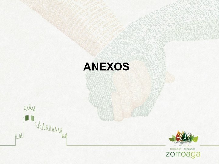 ANEXOS 