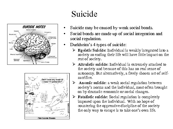 Suicide • • • Suicide may be caused by weak social bonds. Social bonds