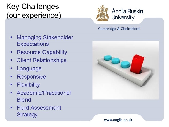Key Challenges (our experience) • Managing Stakeholder Expectations • Resource Capability • Client Relationships