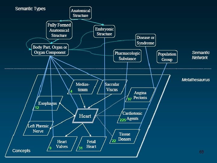Semantic type 3 d map 65 