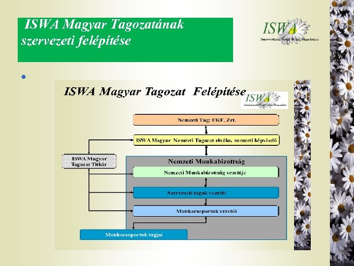  ISWA Magyar Tagozatának szervezeti felépítése l 