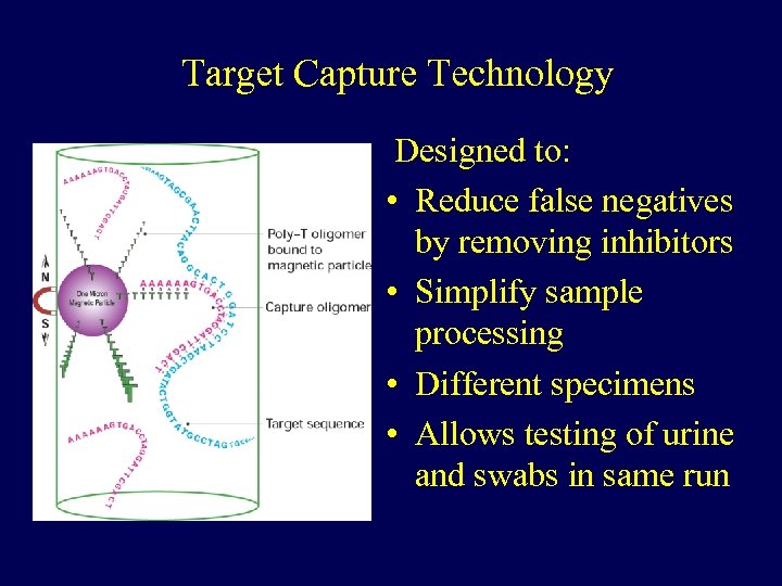 Target Capture Technology Designed to: • Reduce false negatives by removing inhibitors • Simplify