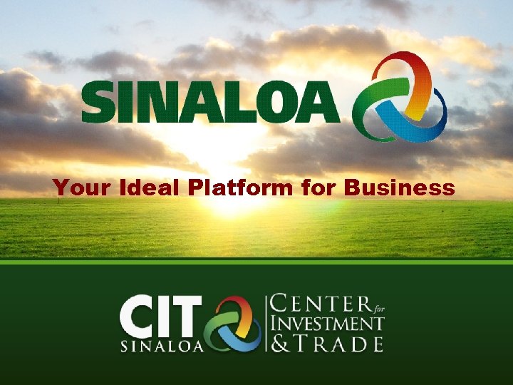 Your Ideal Platform for Business 