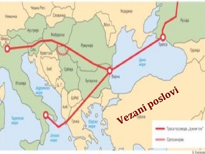 V za e ip n vi lo os 