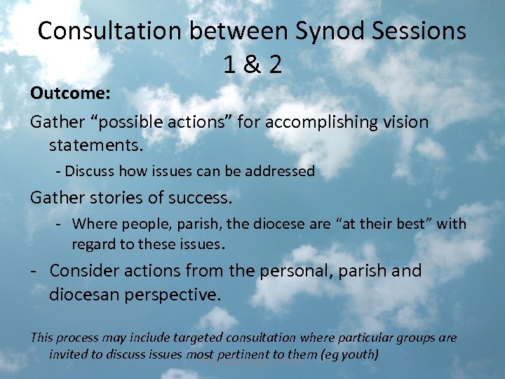 Consultation between Synod Sessions 1 & 2 Outcome: Gather “possible actions” for accomplishing vision