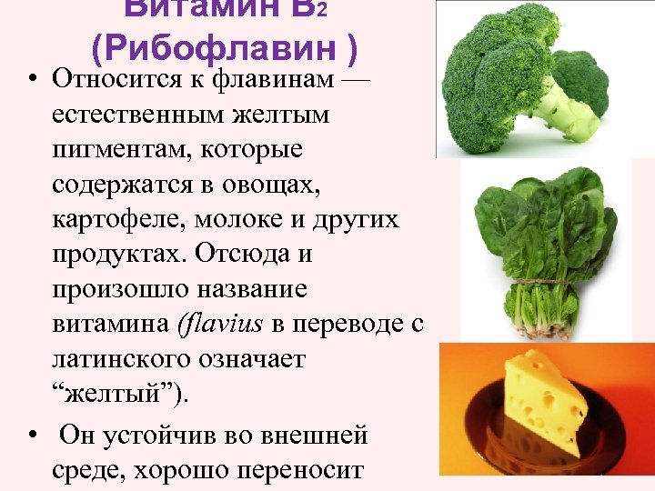 Витамин В 2 (Рибофлавин ) • Относится к флавинам — естественным желтым пигментам, которые