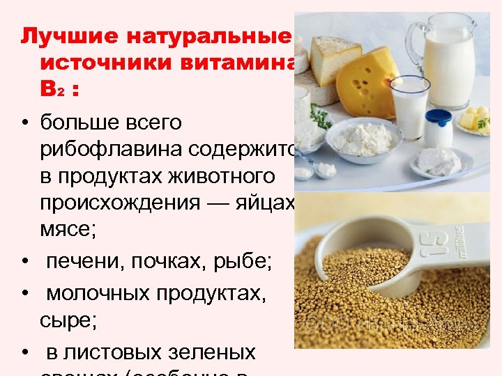 Лучшие натуральные источники витамина В 2 : • больше всего рибофлавина содержится в продуктах