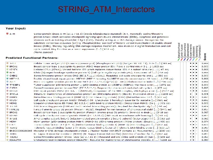 STRING_ATM_Interactors 