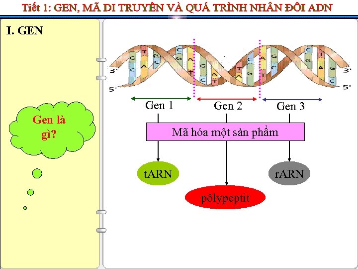 I. GEN Gen 1 Gen là gì? Gen 2 Gen 3 Mã hóa một