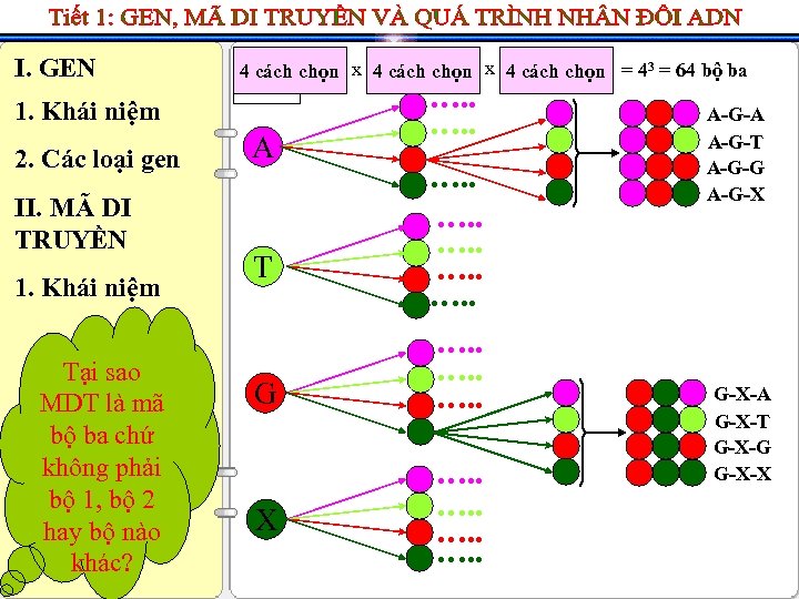 I. GEN 1. Khái niệm 2. Các loại gen II. MÃ DI TRUYỀN 1.