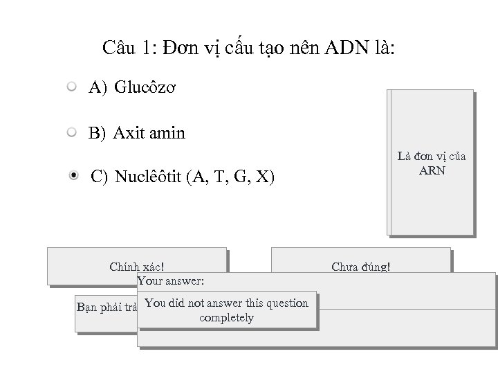 Câu 1: Đơn vị cấu tạo nên ADN là: A) Glucôzơ B) Axit amin
