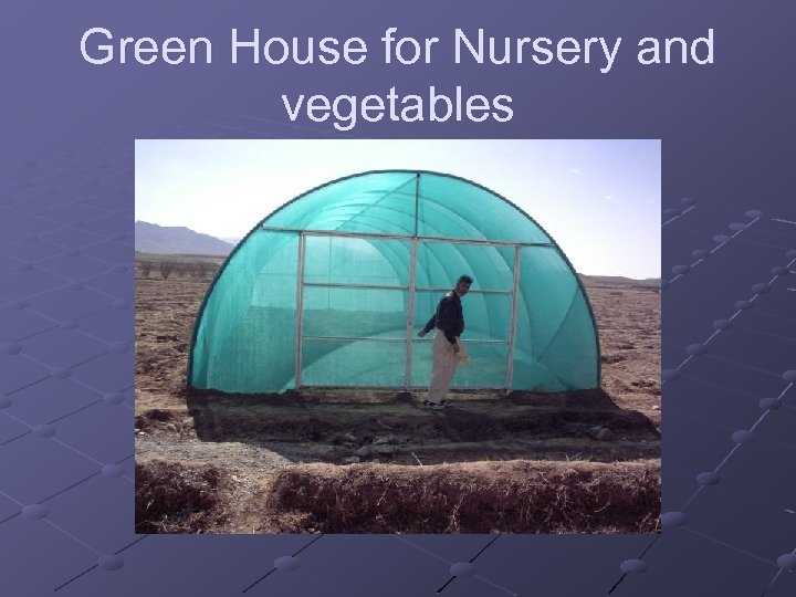 Green House for Nursery and vegetables 