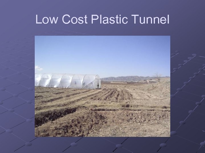 Low Cost Plastic Tunnel 