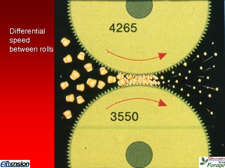 Differential speed between rolls 