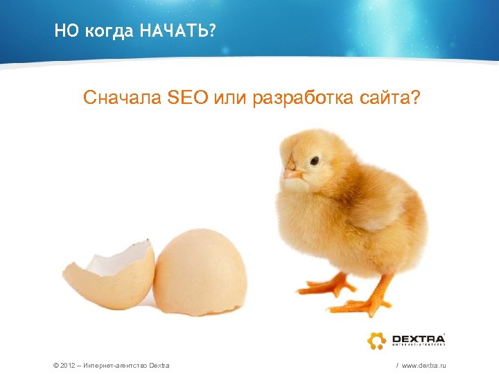 НО когда НАЧАТЬ? Cначала SEO или разработка сайта? © 2012 – Интернет-агентство Dextra /