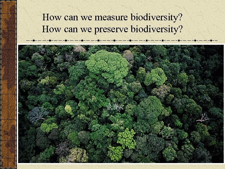 How can we measure biodiversity? How can we preserve biodiversity? 
