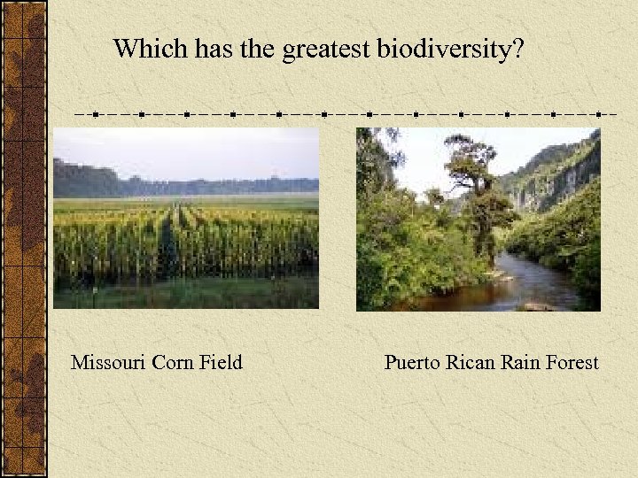 Which has the greatest biodiversity? Missouri Corn Field Puerto Rican Rain Forest 