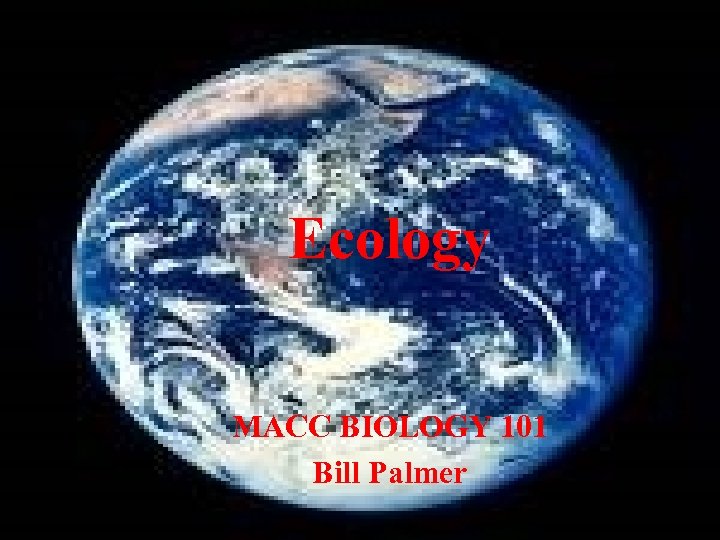 Ecology MACC BIOLOGY 101 Bill Palmer 