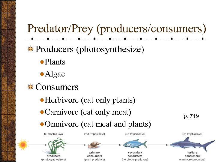 Predator/Prey (producers/consumers) Producers (photosynthesize) Plants Algae Consumers Herbivore (eat only plants) Carnivore (eat only