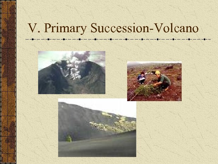 V. Primary Succession-Volcano 