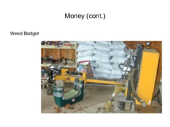 Money (cont. ) Weed Badger 