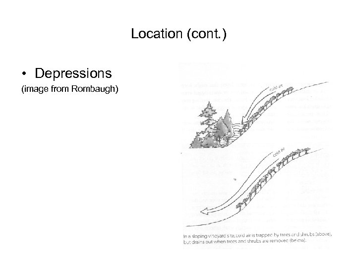 Location (cont. ) • Depressions (image from Rombaugh) 