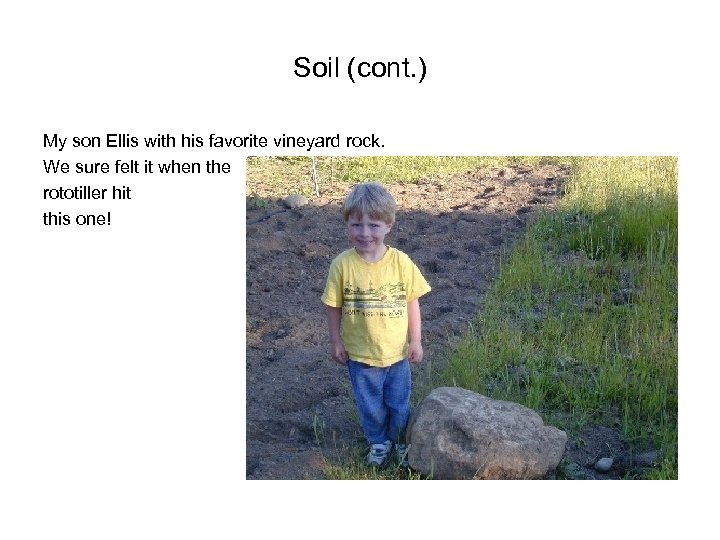 Soil (cont. ) My son Ellis with his favorite vineyard rock. We sure felt