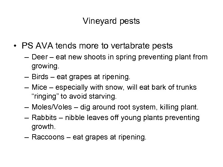Vineyard pests • PS AVA tends more to vertabrate pests – Deer – eat