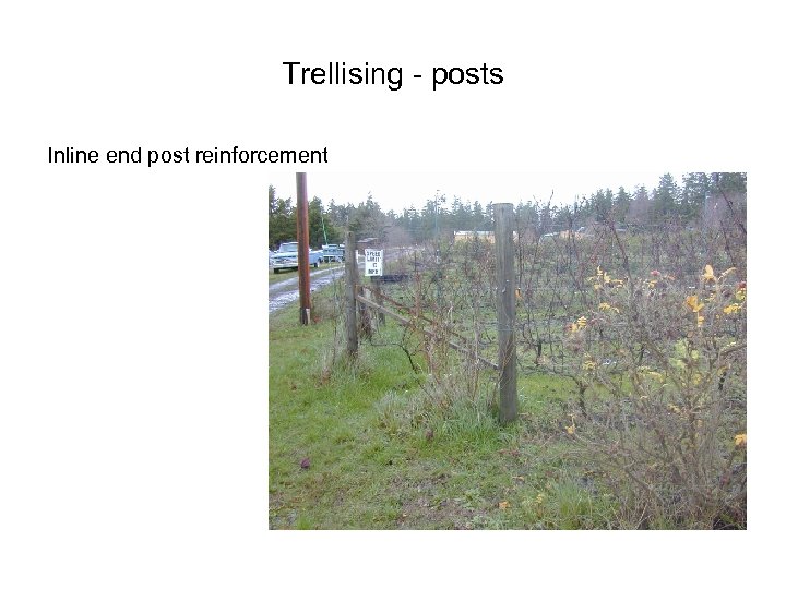 Trellising - posts Inline end post reinforcement 