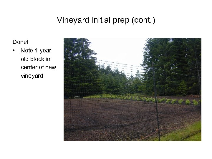 Vineyard initial prep (cont. ) Done! • Note 1 year old block in center