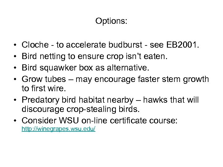 Options: • • Cloche - to accelerate budburst - see EB 2001. Bird netting
