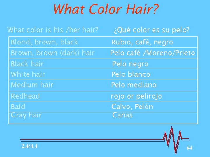 What Color Hair? What color is his /her hair? ¿Qué color es su pelo?