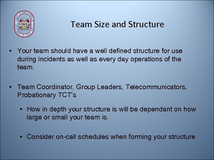 Team Size and Structure • Your team should have a well defined structure for