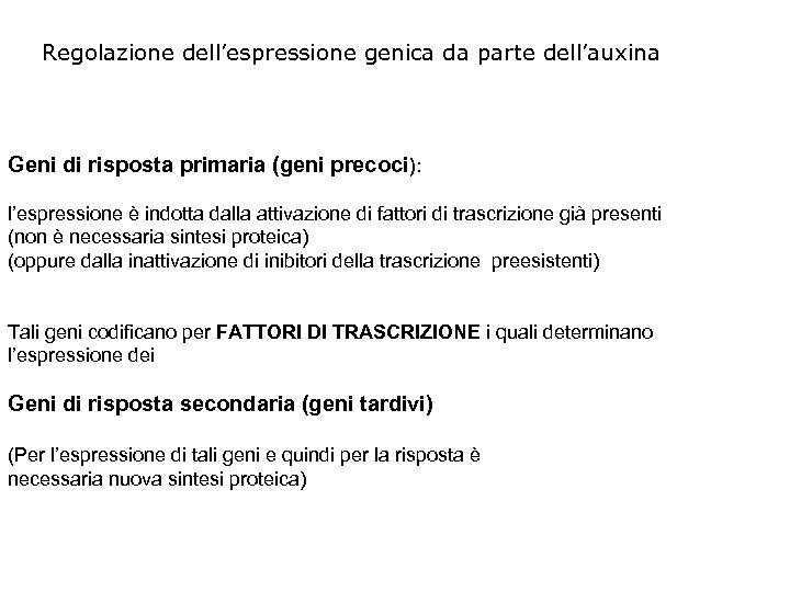 Regolazione dell’espressione genica da parte dell’auxina Geni di risposta primaria (geni precoci): l’espressione è