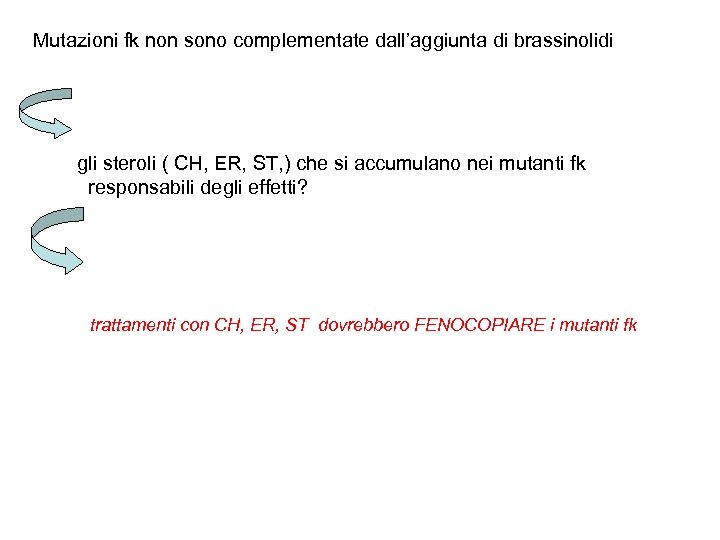 Mutazioni fk non sono complementate dall’aggiunta di brassinolidi gli steroli ( CH, ER, ST,