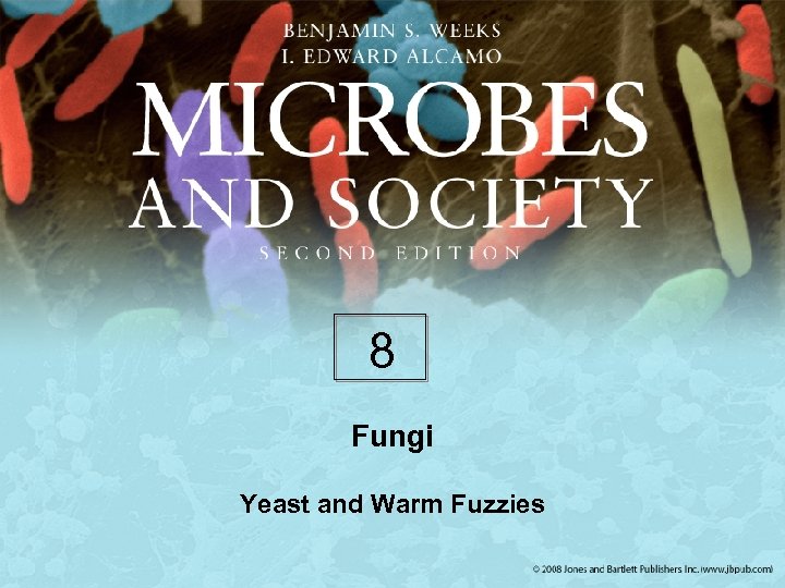8 Fungi Yeast and Warm Fuzzies 