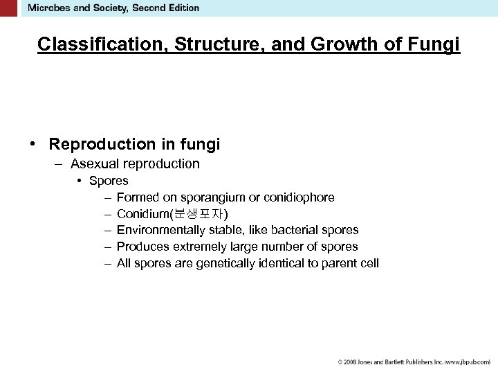 Classification, Structure, and Growth of Fungi • Reproduction in fungi – Asexual reproduction •